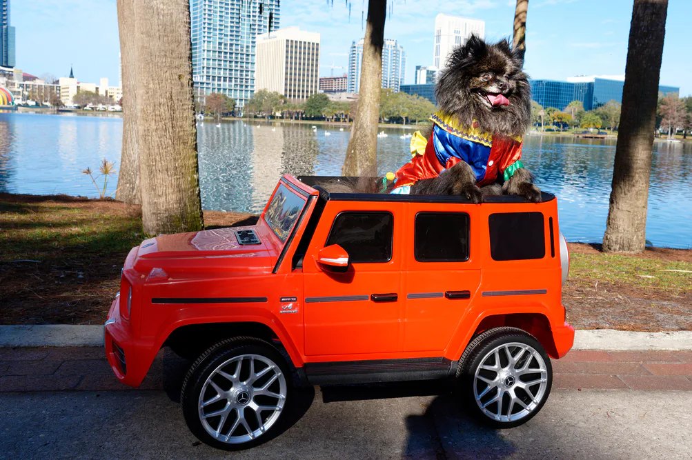 Paws in the Park at Lake Eola Park